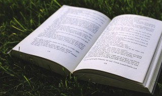 关于雨水节气的诗句有哪些 关于雨水节气的古诗30首