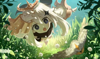 原神无派蒙是怎么弄的(原神什么叫无派蒙)