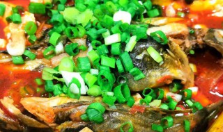 豆芽豆腐鱼怎么做（豆芽豆腐鱼怎么做的）