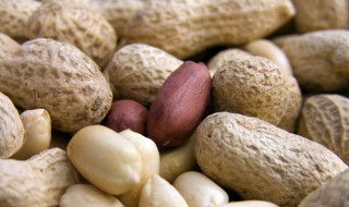 水煮花生烘干的技巧（水煮花生如何烘干）