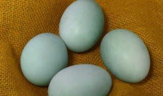 青鸭蛋和白胡椒怎么做