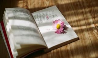 成语扫地以尽是什么意思 成语扫地以尽是什么意思解释