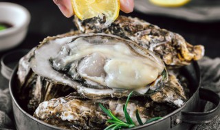 牛奶和生蚝能否一起吃 牛奶和生蚝能否一起吃啊