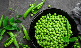 豌豆和猪肉能否一起吃 豌豆和肉能不能一起吃