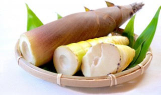 竹笋羊肉能一起炖吃吗（竹笋可以炖羊肉一起吃吗?）