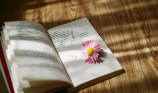 持之以恒什么意思 做事要持之以恒什么意思