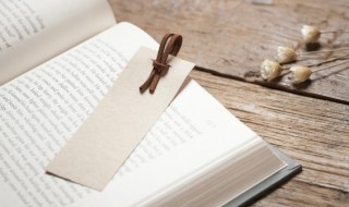 矫情镇物的意思（矫情镇物是什么意思呢）