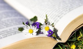 强聒不舍什么意思 强聒不舍的是什么意思