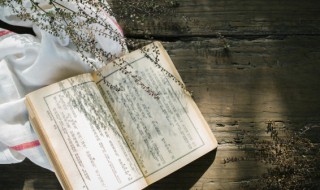 兄弟手足的意思 什么兄弟如手足