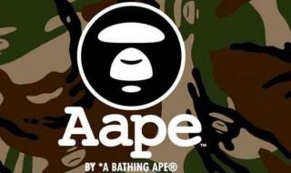bape是什么品牌 bape是什么品牌怎么读
