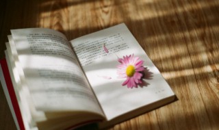 鬼鬼祟祟的词语意思 形容鬼鬼祟祟的词语有哪些