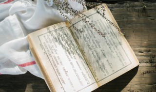 小巧玲珑的意思解释（小巧玲珑的意思解释是什么）