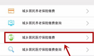手机怎么交医保（手机怎么交医保视频）