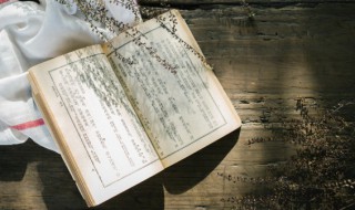 雅俗共赏的词语意思 雅俗共赏的词语解释