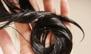 护发素和精华素的区别 护发素和精华素的区别在哪里