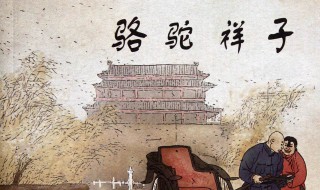 祥子在曹家遭遇了什么事?（祥子在曹家遭遇了什么事件）