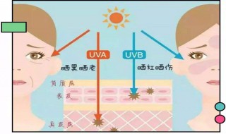 先擦防晒还是先擦隔离（防晒和隔离的区别）