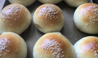 汉堡坯的做法 汉堡坯的做法视频教程