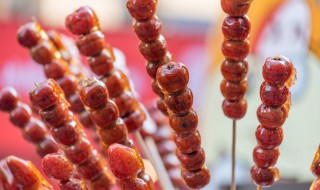 糖葫芦怎么做呢（糖葫芦怎么做最好吃）