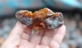 冬日干果柿饼怎么做（冬日干果柿饼怎么做好吃）