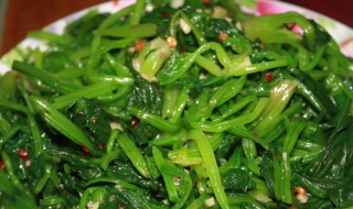 麻油拌菠菜芹菜（麻油拌菠菜的做法）