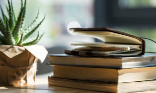 舍本逐末和本末倒置的区别(舍本逐末和本末倒置的区别是什么)