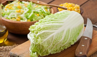 白菜可以生吃吗 奶油白菜可以生吃吗