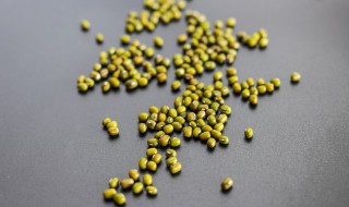 绿豆浆的做法 绿豆浆的做法和配方