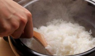 蒸米饭放白醋还是陈醋（蒸米饭放白醋还是陈醋比较好）