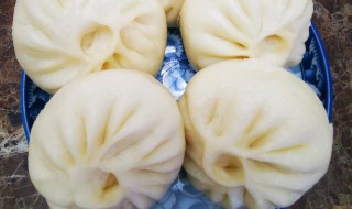 发面包子怎么做又软又香（包子蓬松的秘诀）
