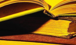 瓣胃是什么意思 瓣胃的功能是什么