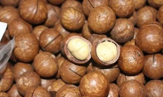 夏威夷果的营养价值及功效(夏威夷果一天吃几个比较好)