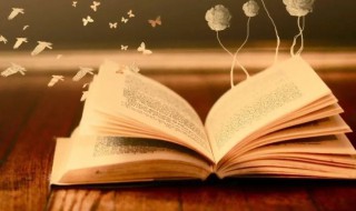 报头是什么意思(报头设计图片大全)