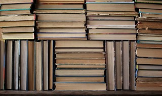 百日王朝是什么意思 百日王朝是什么意思呀