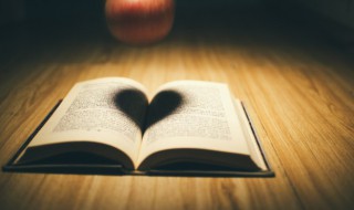 匍匐前进的词语意思(匍匐前进成语意思)