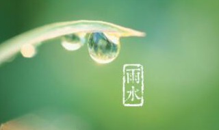 雨水节气如何预防上火（雨水节气如何预防上火呢）