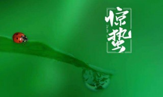 惊蛰节气吃什么养生(惊蛰节气吃什么养生食物)