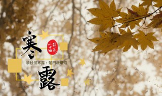 寒露要怎么养生 寒露怎样养生