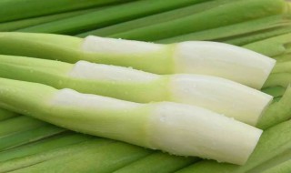 茭白的吃法（茭白咋做）