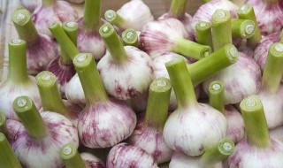 哪些人不能吃青蒜（哪些人不能吃青蒜头）