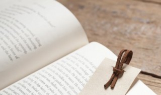 爽然若失意思（爽然若失啥意思）