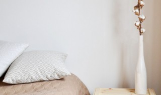 左右逢源意思（左右逢源意思相近的成语）