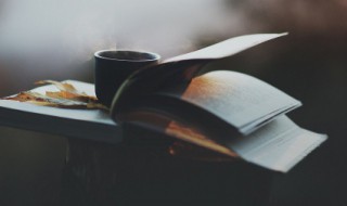 雷霆万钧意思（雷霆万钧意思相反的一项是）