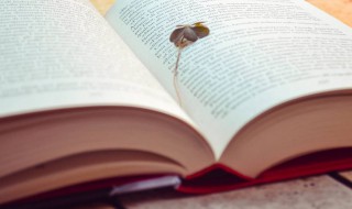 学而不厌意思 默而识之学而不厌意思