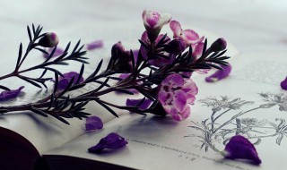 脱颖而出意思 脱颖而出意思造句子