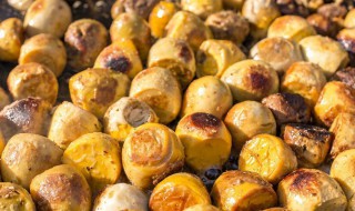 毛蛋的吃法 毛蛋的做法