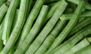 菜豆的吃法 蔬菜豆的做法