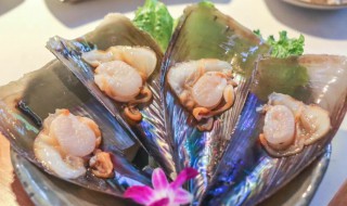 哪些人不能吃带子 哪些人不能吃带子鸡