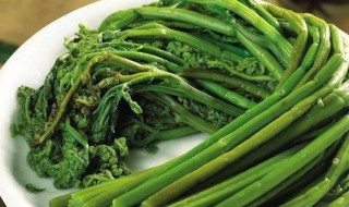 龙头菜的吃法（龙头菜的吃法和做法）