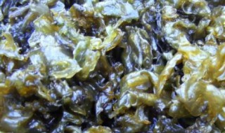 哪些人不能吃地皮菜（那些人不可以吃地皮菜）